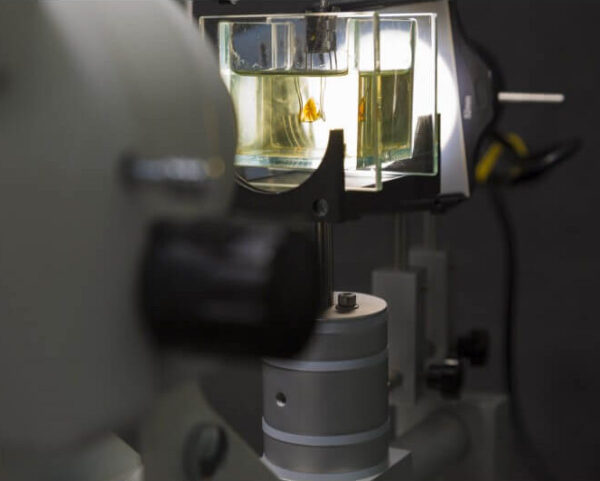 Gem Microscope
